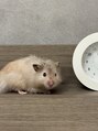 サリナスネイル(SARINASNAIL)&nbsp;ロングヘアーのハムスター飼ってます！