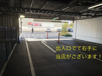 ウィスタリア フィールドプランシュ(WISTARIA FIELD-PLANCHES)/ご案内３