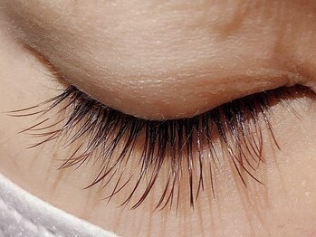 カラン 焼津店(CALIN)/ブラウンフラットラッシュリペア