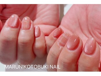 マルニ コトブキ(MARUNI KOTOBUKI)/シンプルコース