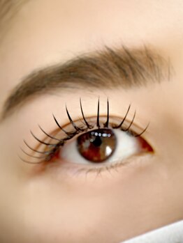 ムニ(muni)/LEDボリュームラッシュ120束