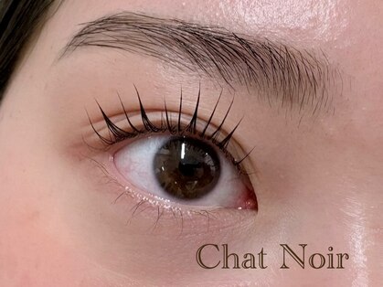 シャノワール(Chat Noir)の写真