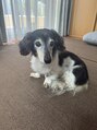 オーク アイラッシュアンドネイル たまプラーザ(OAK) 実家で犬を飼っています!18歳の女の子です!