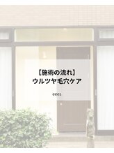イーズ(eees)/ウルツヤ毛穴ケア | 施術内容
