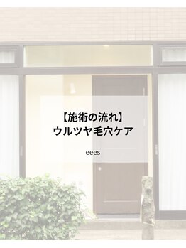 イーズ(eees)/ウルツヤ毛穴ケア | 施術内容