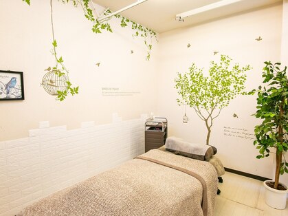 コマチ アイラッシュ(comachi eyelash)の写真