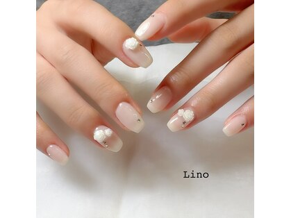 リーノ(Lino)の写真