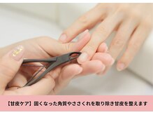 ビーリタ 昭和町店(B-LITA)/