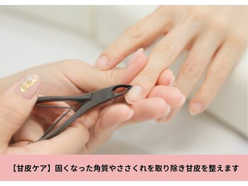 ビーリタ 昭和町店(B-LITA)/