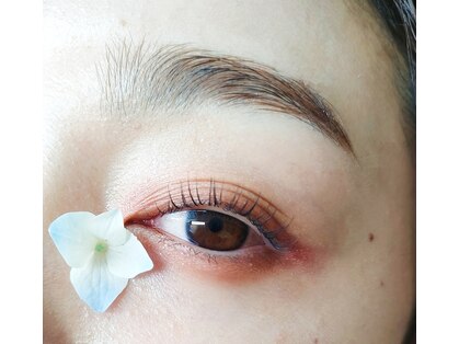 十季月(トキツキ)の写真