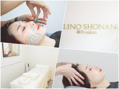 リノ ショウナン(LINO SHONAN)の写真