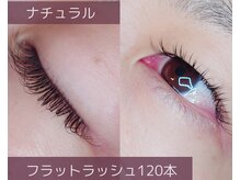 アポストロフィエス/フラットラッシュ120本