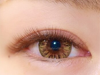 アフロデイーテ(Aphrodite)/Brown Volume Lash
