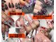 ダグネイル 宇都宮店(Dugh nail)の写真