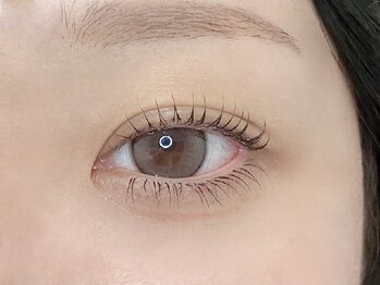 シエル(Ciel)の写真/《大人気★ラッシュリフト》ロッドの種類も豊富にご用意♪まつ毛が短い方にも下がりまつ毛の方にも！