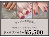 【Footジェル】マグネット・フラッシュ・ワンカラー