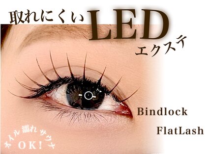 アイプラス タンゴイ オオフナ(eye plus tanGoi ofuna)の写真