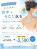 【初回限定】背中+うなじ脱毛で後ろ美人♪¥7,500→¥5,500