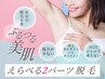 【おためしにオススメ】お好きな箇所2カ所脱毛＋美肌イオン導入付