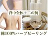 剥離ハーブピーリング棘100%/お得セット！（剥離あり◆背中全体＋二の腕）