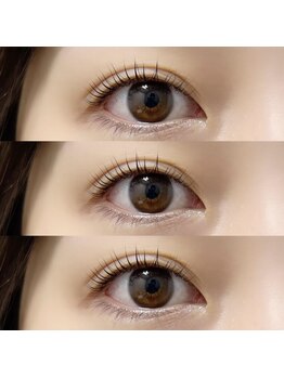 シェリール(Cherile)/（まつげパーマ/パリジェンヌ）