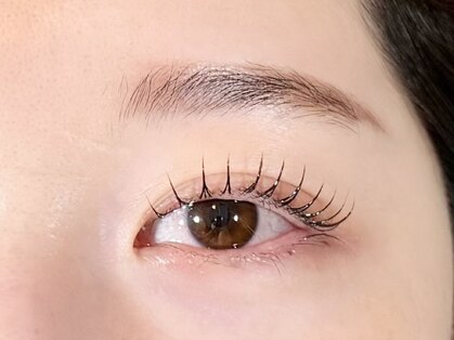 THE LASH【まつげパーマ/LED/フラットラッシュ/マツエク/アイブロウ/眉毛】の写真
