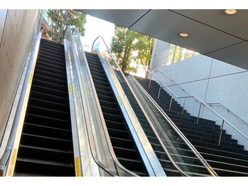 シエロ 赤坂店(Cielo)/~5~