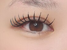 シエナ(ciena)/《バインドロック 120束》