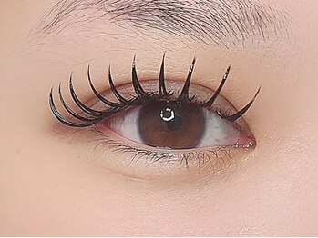 シエナ(ciena)/《バインドロック 120束》