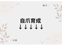 リリ(lili)/自爪育成/自爪ケア/ネイルケア