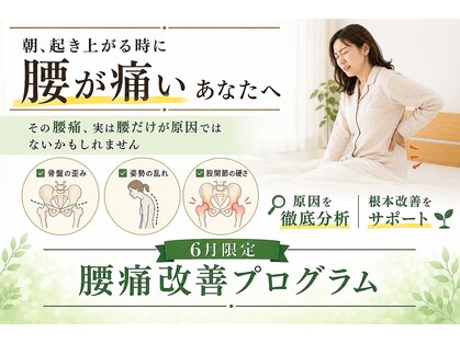 ほねつぎ 土浦東並木はりきゅう接骨院の写真