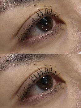 ピクシーボブ(Pixie Bob)の写真/ドールリフトカール導入!根本からグッと立ち上げる次世代まつ毛パーマ◎自まつげをナチュラルに美しく☆