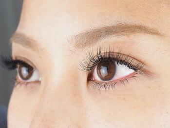 ベル(Belle)/プロケア160本　　¥6,800