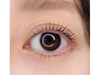 ディーディー(deedee)