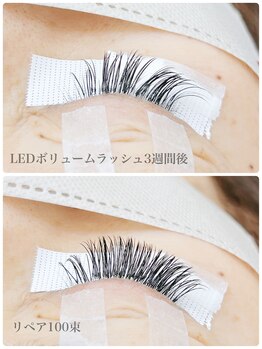 カラー(KOLOR)/LEDボリュームラッシュリペア