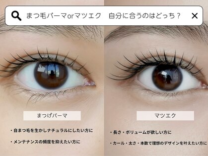 リブレ(Libre)の写真