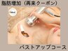 【バストアップ再来クーポン】脂肪増加剤10ml 通常価格¥38000→¥33000