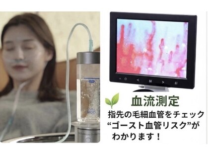 ひまわりの写真
