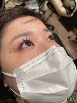 ピクシーボブ(Pixie Bob)/ドーリーリフト☆立ち上げカール