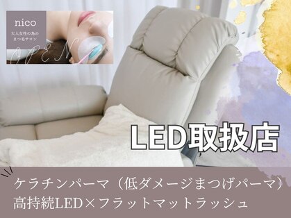 ニコ(nico)の写真