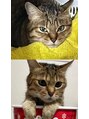 ケーツーネイル(k-two nail) 雑種の猫を飼ってます！