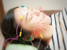 薄桜樹