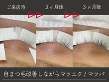 知識と技術があれば自まつ毛を傷ませずにマツエク/マツパが可能