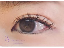 アポストロフィエス/LEDフラットラッシュ120本