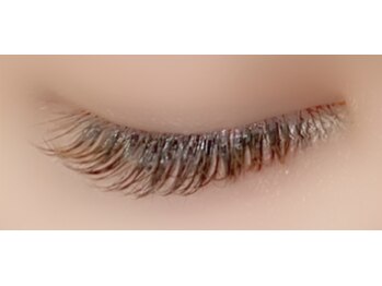 シュピネ バイ アルブル エト シミー(Choupinet by Arbre et chimie)/ブラウンカラー120本