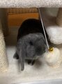 リラコ 静岡駅南店(Rela&Co)&nbsp;うさぎ飼ってます☆抱っこは全力で嫌がります( ;∀;)