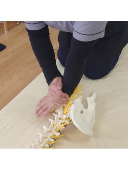 フェリス(Felis)/骨盤調整