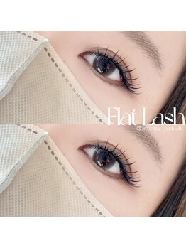 アヴァンティア(AVANTIA)/フラット120本