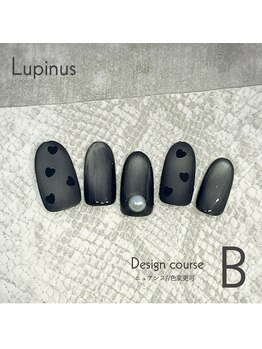 ルピナス(Lupinus)/定額Bコース