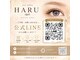 ハル(HARU)の写真